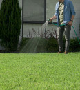 Lawn-Solutions-Australia-Sir-Walter-DNA-Certified-Buffalo-Turf Sale