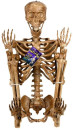 Lytworx-160cm-Battery-Operated-Skeleton Sale