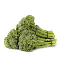 Australian-Broccolini-Bunch Sale