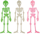 Hanging-Skeleton-Assorted Sale