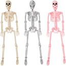 90cm-Poseable-Skeleton-Assorted Sale