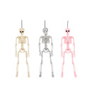 Poseable-Skeleton-Assorted Sale