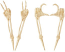 4-Pack-Skeleton-Hand-Stakes Sale