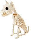 Animal-Skeleton Sale