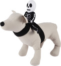 Pet-Skeleton-Ride-on-Medium-to-Large Sale