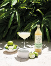 Mr-Consistent-Margarita-Mix Sale