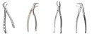 Hu-Friedy-Forceps Sale
