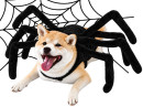 Spider-Pup-Pet-Costume Sale