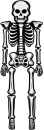 Giant-Skeleton-Foil-Balloon-25m Sale