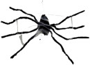 Animated-Spider-12m Sale