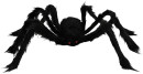 Giant-Black-Spider Sale
