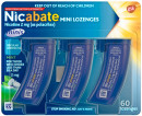 Nicabate-Mini-Lozenges-Nicotine-2mg-Regular-Strength-Mint-60-Lozenges Sale