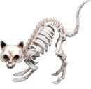 Skeleton-Cat-19cm Sale