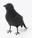 Realistic-Crow-19cm Sale
