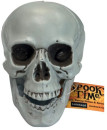 Skull-with-Movable-Jaw-10cm Sale