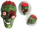 Skull-with-Exposed-Brain Sale
