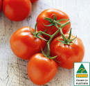 Australian-Truss-Tomatoes Sale