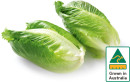 Australian-Baby-Cos-Lettuce-Twin-Pack Sale