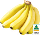 Australian-Bananas Sale