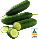 Australian-Lebanese-Cucumber Sale