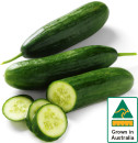 Australian-Lebanese-Cucumber Sale
