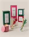 Maxwell-Williams-Love-Anna-x-Botanika-Christmas-Range Sale