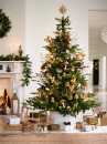 Myer-Giftorium-Harvest-Home-Decorations Sale