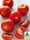 Australian-Gourmet-Tomatoes Sale