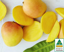 Australian-Kensington-Pride-Mangoes Sale