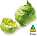 Australian-Iceberg-Lettuce Sale