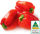 Australian-Red-Capsicum Sale