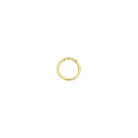 9ct+Gold+1x8mm+Nose+Ring