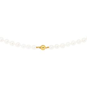 9ct-Gold-45cm-7-8mm-Cultured-Fresh-Water-Pearl-Necklace on sale