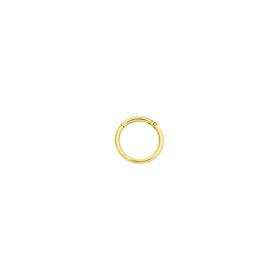 9ct-Gold-8mm-Gold-Plain-Segment-Hinged-Nose-Ring on sale