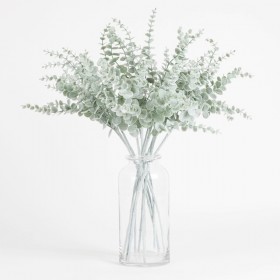 Frosted-Eucalyptus-Stem-by-MUSE on sale