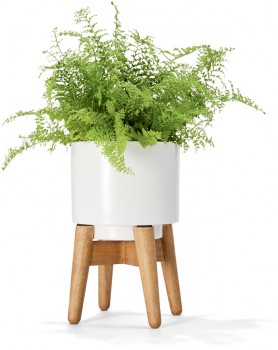 Mini-Pot-with-Stand-White on sale