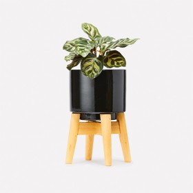 Mini-Pot-with-Stand-Black on sale