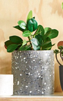 30-off-Planter-Pot-Terrazzo-12-x-13cm on sale