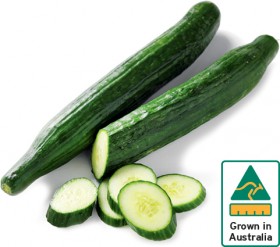 Australian-Continental-Cucumber on sale