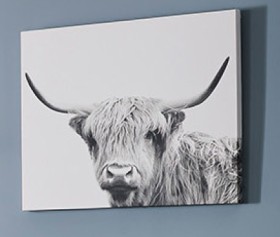 Scottish-Cow-Wall-Art on sale