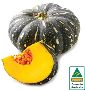 Australian-Kent-Pumpkin on sale