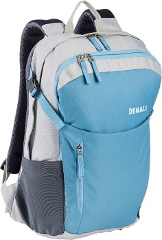 Denali-Wayfarer-20L-Daypack on sale