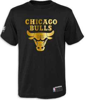 NBA-Essentials-Foil-Logo-Short-Sleeve-Tee-Chicago-Bulls on sale