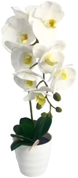 Botanica+Artificial+Orchid+40cm