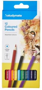 Studymate-Coloured-Pencils-12-Pack on sale