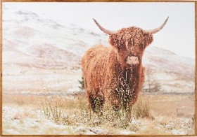 40-off-Highland-Cow-Print on sale