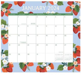 NEW-Orange-Circle-2024-Magnetic-Calendar-Fruit-Flora on sale