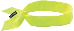 Ergodyne-Cooling-Bandanas-Lime on sale