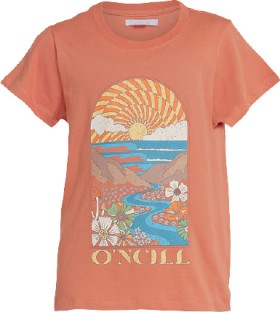 ONeill-Youth-Printed-Tee-Tawny-Orange on sale