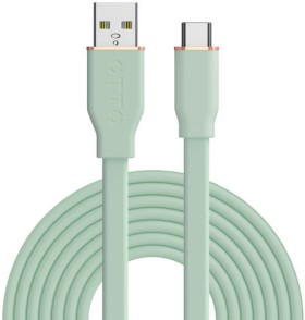 Otto-2m-USB-A-to-USB-C-Cable-Mint on sale